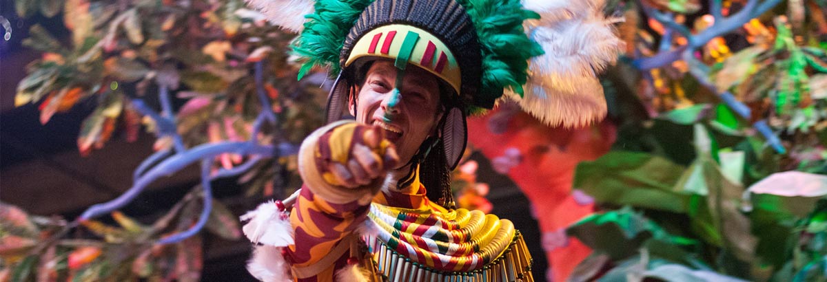 Carnaval 2024 in Nederland