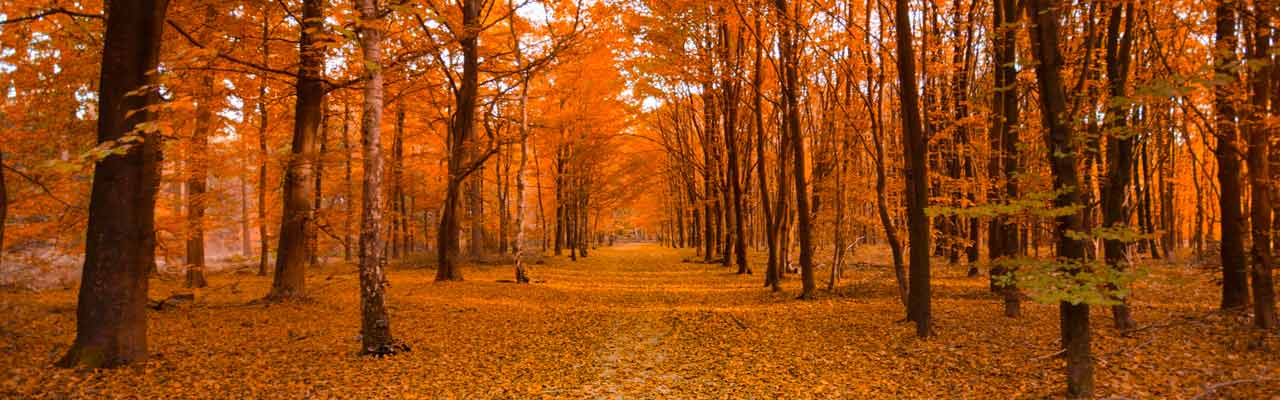 Herfstvakantie Midden