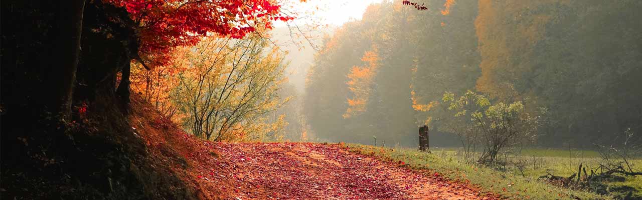 Wanneer begint de herfst?