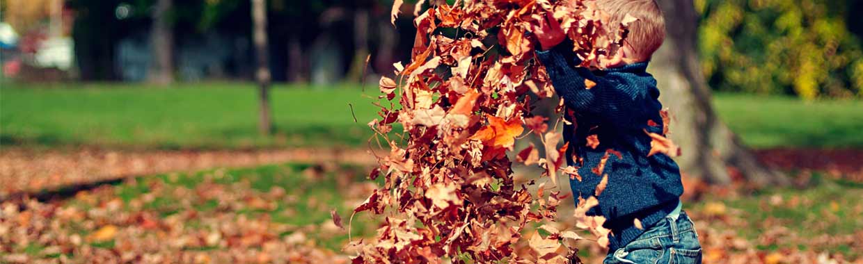 Herfst in augustus