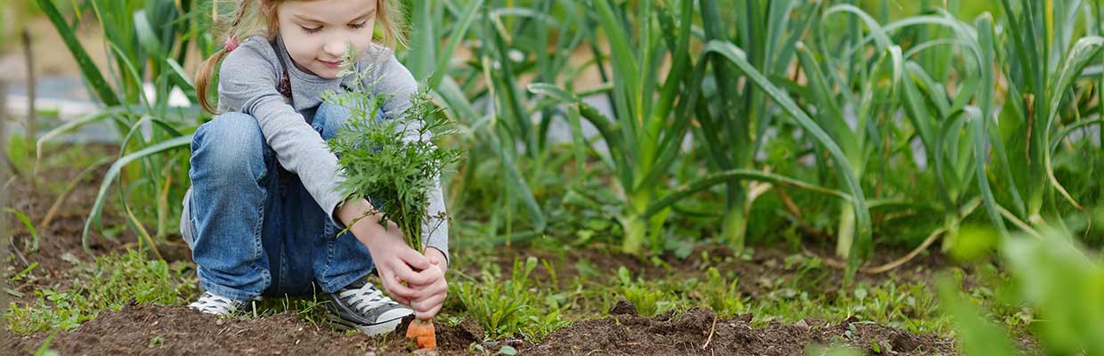 Moestuin voor kinderen