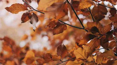 de voordelen van de herfst en de winter