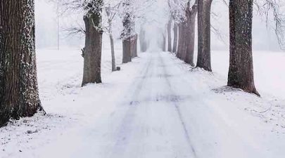 Tips om de winter te overleven