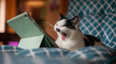 De stille kracht van wachten wat er gebeurt als we tijd 'doden'